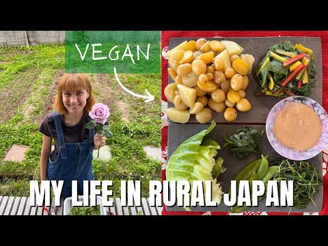 Life in Japan - Gardening & Vegan Cooking in Hirosaki