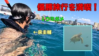 優勝旅行を満喫！ハワイの海で亀を見にいこう