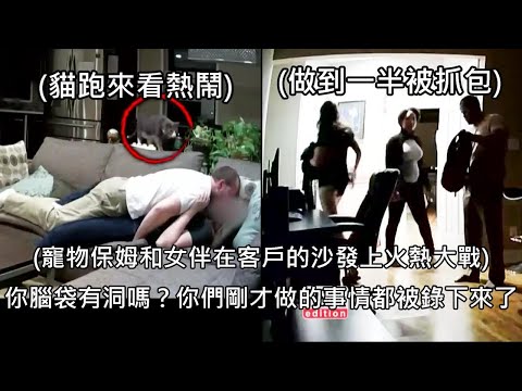 寵物保姆偷帶女伴到客戶家中愛愛，客戶透過監視器目擊整個過程超崩潰 (中文字幕)