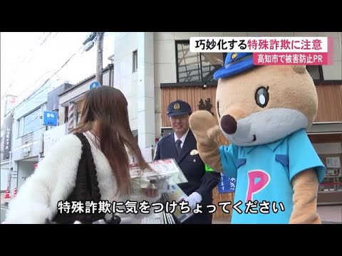 巧妙化する特殊詐欺に気をつけて　高知市の街頭で生命保険協会や警察官が被害防止PR【高知】 (24/12/13 12:08)