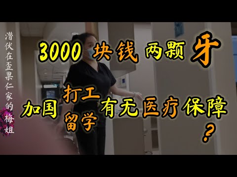 3000人民币两颗牙 梅姐聊一聊加拿大打工留学有无医疗保障？