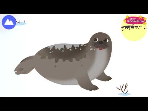 Kids Learn about 30+ Arctic Animals 🐋 MarcoPolo Educational App