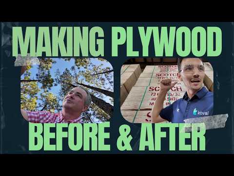 EXCLUSIVE Inside the Plywood Plant & PRIVATE SYP Forests - LEARN Southern Yellow Pine Firsthand!