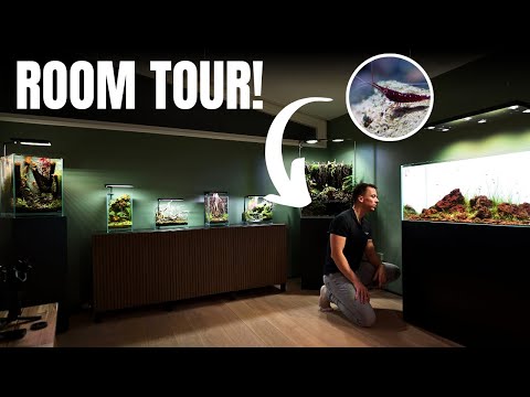 DUTCH GUY SHOWS HIS RARE SHRIMP, FILTERLESS TANKS, CARNIVOROUS PLANTS AND MORE!