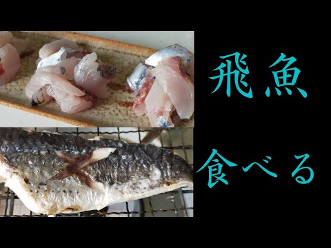 【魚料理】トビウオの刺身と塩焼き。アラ汁味噌汁が美味しい