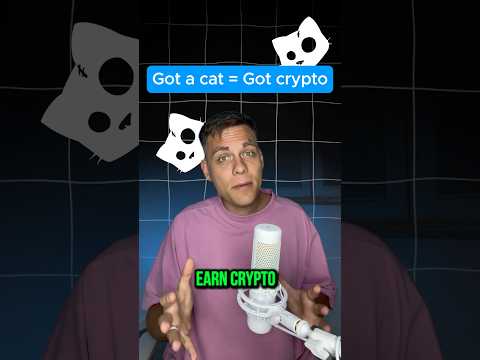 Get free crypto for photos of your cat #crypto #airdrop #telegram #hamsterkombat