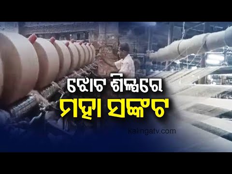 Reporter Special: Jute Industry is no under an existential threat for a decade now | Kalinga TV