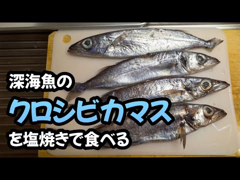 深海魚のクロシビカマス（スミヤキ）を塩焼きで食べる🐟