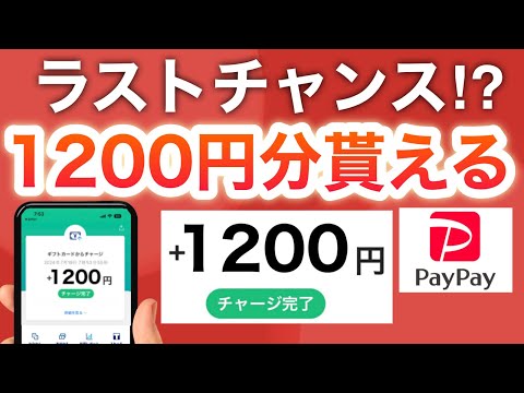 【簡単】このコードでPayPayで使える1200円分もらえる‼︎ラストチャンス！？