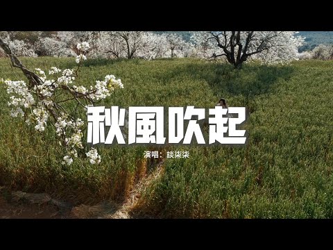 談柒柒 - 秋風吹起『是不是我一人過得太久了，幸運幸福忘了我，秋意濃洱海邊黃葉翩翩落，愁緒暈開全是泡沫。』【動態歌詞MV】