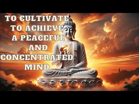 To Cultivate to Achieve A Peaceful and Concentrated Mind | Mind Podcast (Buddhism)