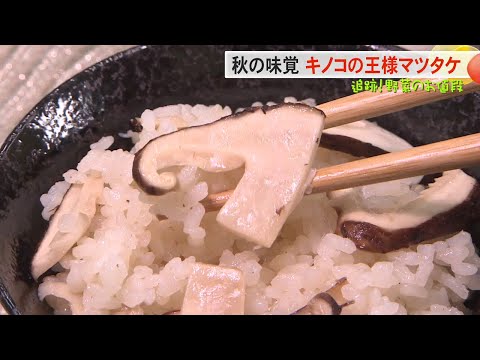 【キノコの王様マツタケ】追跡！野菜のお値段【ライブBBT】