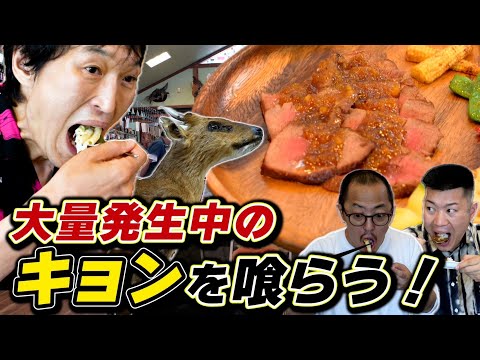 世にも珍しい「猟師が営むビュッフェスタイルのジビエ料理レストラン」で、台湾では高級食材“キョン”の肉に初挑戦！