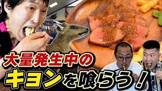 世にも珍しい「猟師が営むビュッフェスタイルのジビエ料理レストラン」で、台湾では高級食材“キョン”の肉に初挑戦！