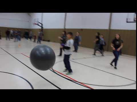 Giant Dodge Ball