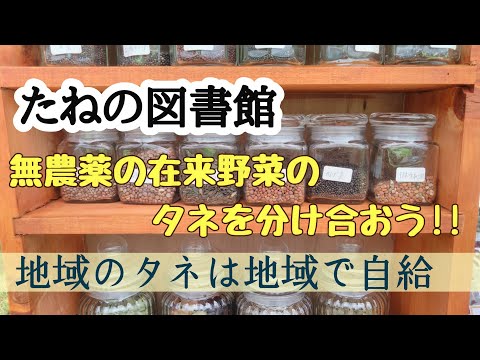 【たねの図書館】持ち運びできる試作品を作ってみました／最新型マキタ充電式丸のこ（HS474DRGXB）購入！！