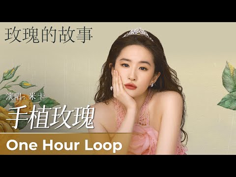 【One Hour Loop】The Tale of Rose 《玫瑰的故事》|《手植玫瑰》“Shou Zhi Mei Gui” by Mika 米卡