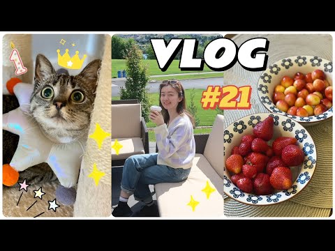 VLOG 21 | 🐱成年🎂 | 近期的weekend getaway | 小型转运开箱 | Ana Luisa | lake chelan