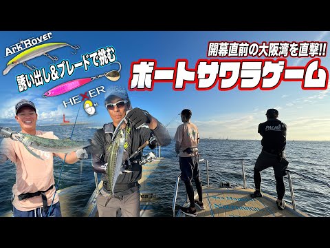 大阪湾サワラゲーム / 開幕直前の大阪湾をジャーキング&ブレードで直撃