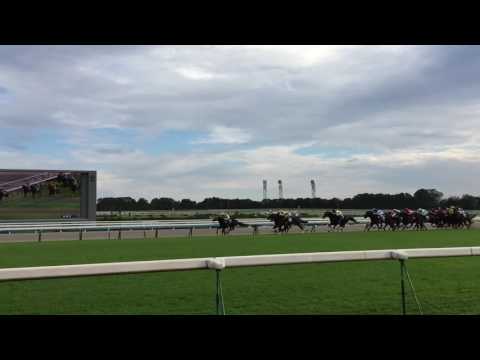 【競馬】G1秋華賞 2016 京都競馬場（第4コーナー）