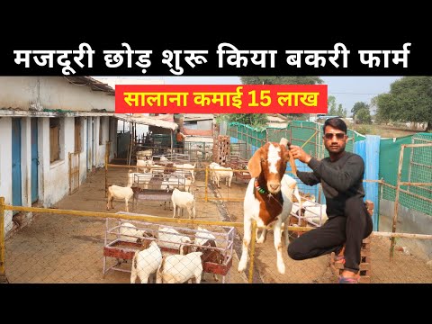 पहले करता था मजदूरी अब कमाता हूँ  सालाना 15 लाख  I Goat Farm Tour I Goat Farming