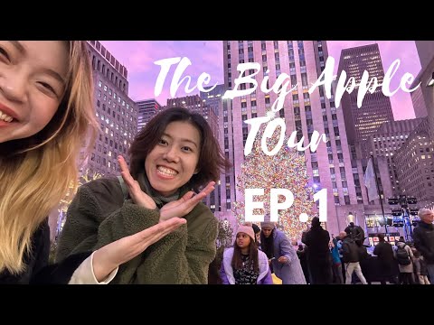 8年后再一次同游纽约🗽Eight years later, we are in NYC again. Ep.1【中/Eng subtitle】