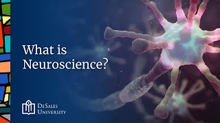 DeSales University: What is Neuroscience?