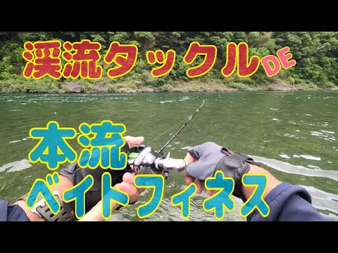 本流アメゴ(アマゴ)  ショートロッドで本流ベイトフィネス！