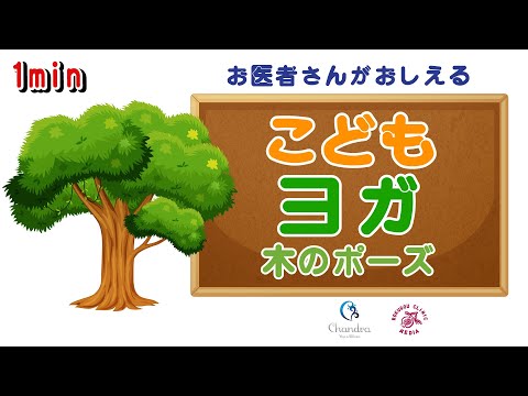 木 の ポーズ（１分 ） 〜 お 医 者さん が 教 え る！〜『こ ど も ヨ ガ』（Vol.7）【医師解説】齊藤素子( ヨーガ講師 ）