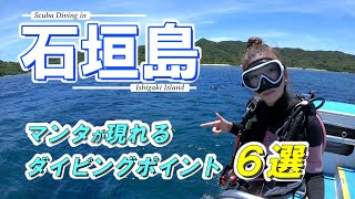 6 dive points where manta rays appear during scuba diving in Ishigaki Island, Okinawa JAPAN.