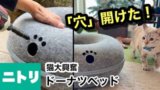 ニトリで買った猫たちお気に入りの『ペットベッド』もっと楽しんで欲しくて…穴を開けてみた