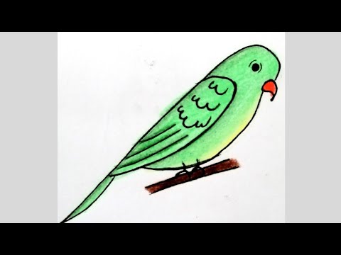 How to draw a parrot #shorts #short #artsyfam #art #trending #viral #anime #easydrawing #arttutorial