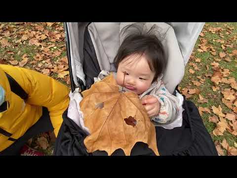 台灣也有這樣的公園嗎？公開我日本家附近最美的公園！Iku老師與Puchi