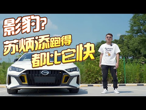 影豹根本就不性能！别再神话这辆车了【FastDog 狗哥】