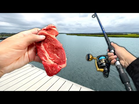 Using STEAK as Bait.. Does it Work?? (Catch and Cook)