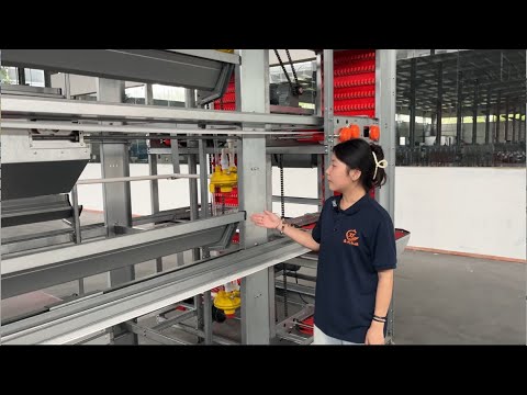 Chicken Cage Poultry Equipment Manufacturing Workshop In Henan China