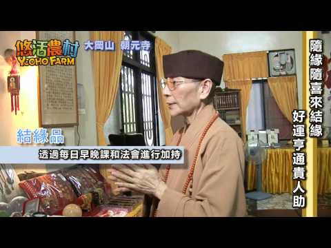 【悠活農村】大岡山 朝元寺 隨緣隨喜來結緣 好運亨通貴人助