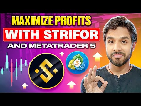 Is This the Ultimate FOREX and CFD Broker You've Been Waiting For? (STRIFOR Broker)