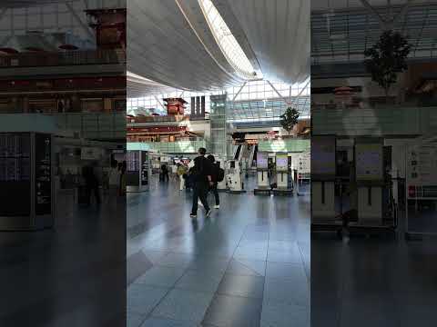 羽空港散歩 |【4K】 Walking Haneda Airport Terminal 3 Tokyo Japan (May 2024)