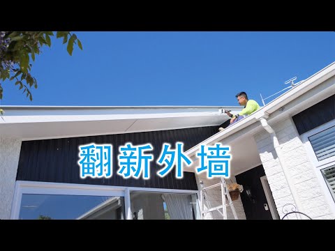 翻新外墙油漆，外墙油漆都脱落了(新西兰 Harold Vlog 881)