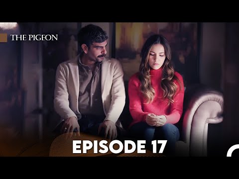 The Pigeon Episode 17 (FULL HD)