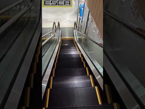 [New!] Cross Mukogaoka Escalator 3F-2F #shorts