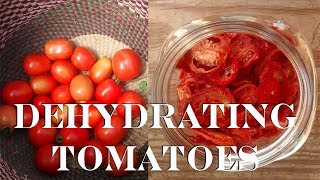 Dehydrating Tomatoes (Food Storage)