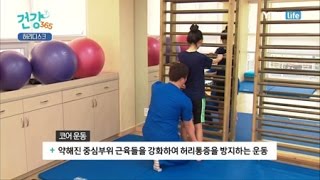 허리 건강을 위해 지켜야 할 생활 습관 / YTN 라이프