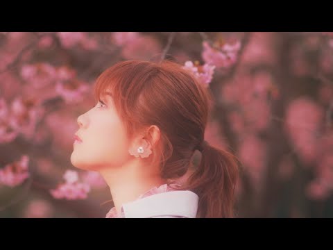 MACO-桜の木の下【Music Video】“僕だけが17歳の世界で”挿入歌