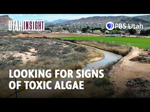 Testing For Water Quality [FULL SEGMENT: Utah Insight S5E4]