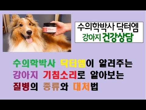 수의학박사 닥터엠이 알려주는 강아지 기침 소리로 알아보는 질병의 종류와 대처법