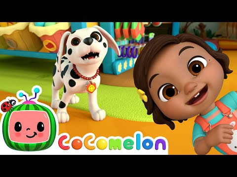 Nina Visits The Pet Store | Nina Time | CoComelon Kids Songs & Nursery Rhymes