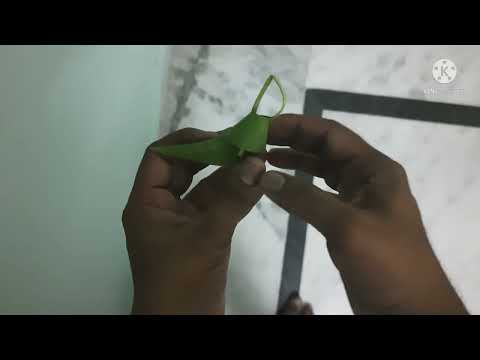 Mango leaf thorana ||easy way|| modern mango leaft horana||