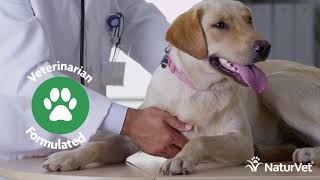 NaturVet Pet Supplements For the Health of Your Pet